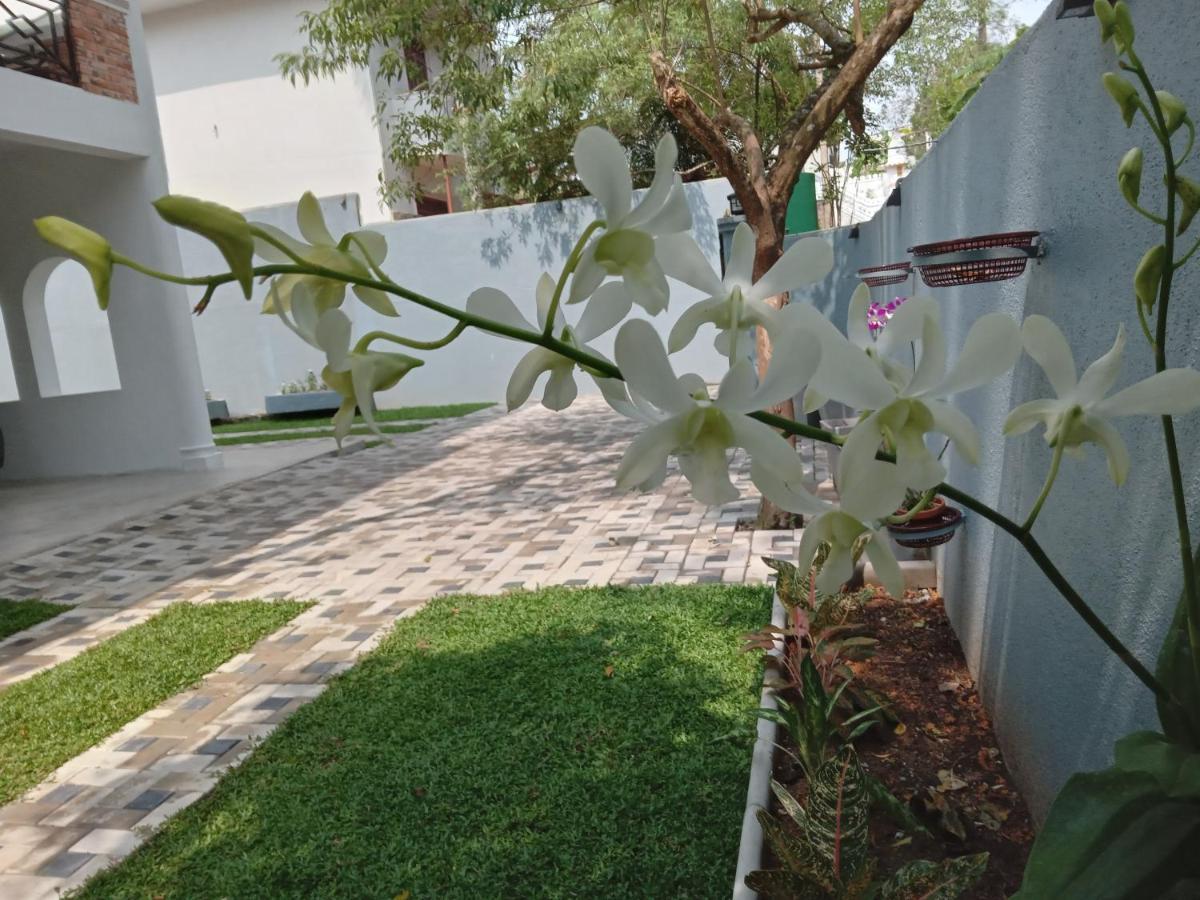 Sky Bloom Bed & Breakfast Homagama Dış mekan fotoğraf