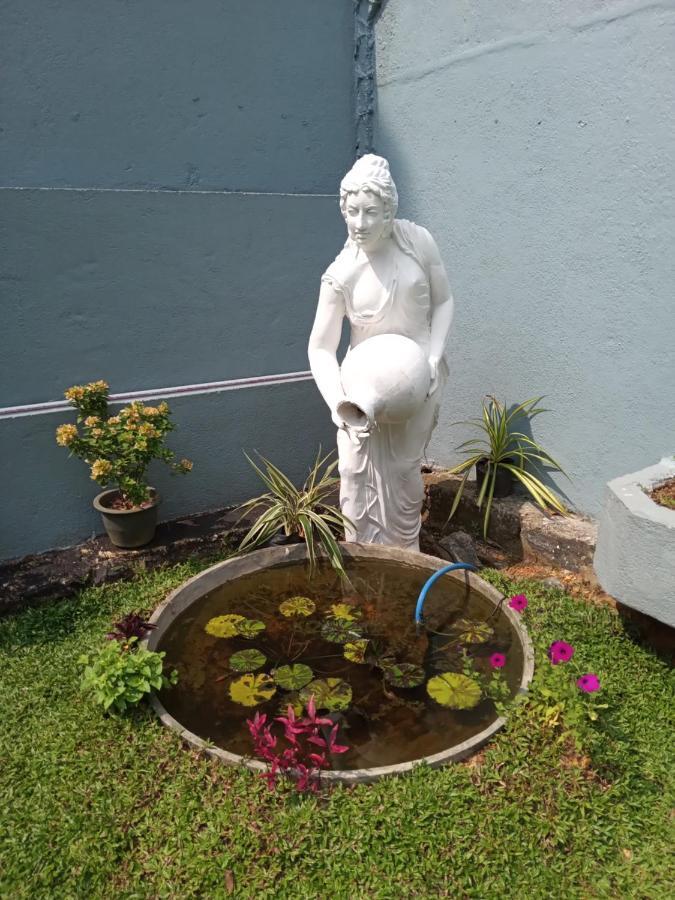 Sky Bloom Bed & Breakfast Homagama Dış mekan fotoğraf